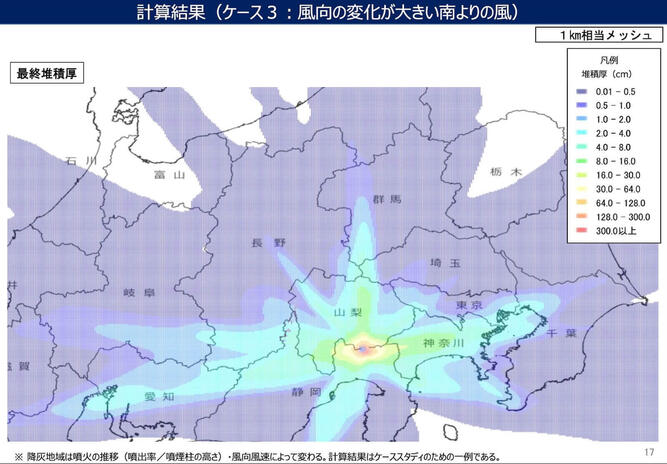 fujisan-koubai_04.jpg